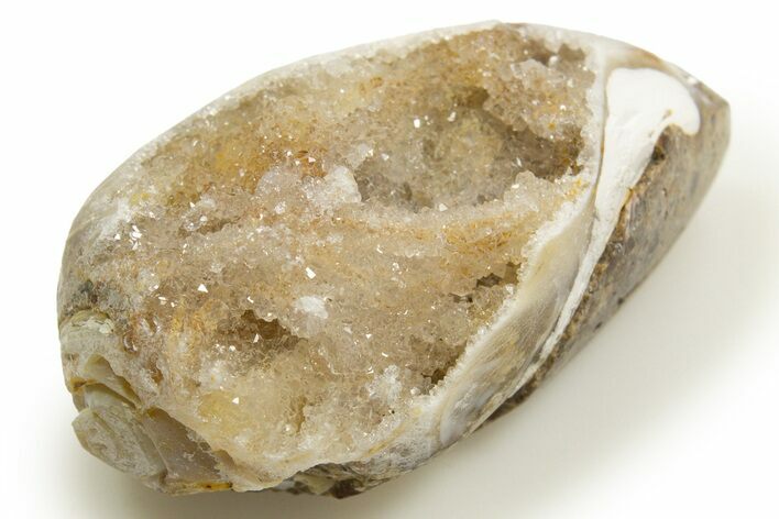 Chalcedony Replaced Gastropod With Sparkly Quartz - India #318705